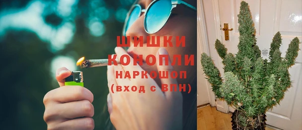 PSILOCYBIN Магас