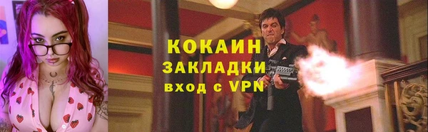 PSILOCYBIN Магас
