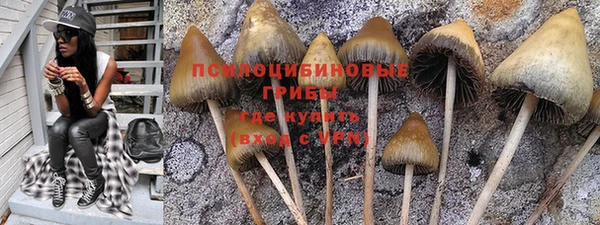 PSILOCYBIN Магас