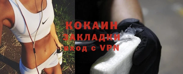 PSILOCYBIN Магас