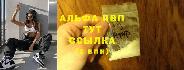 спиды Пересвет