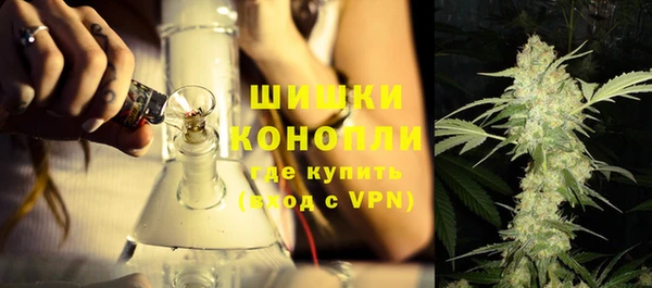 PSILOCYBIN Магас