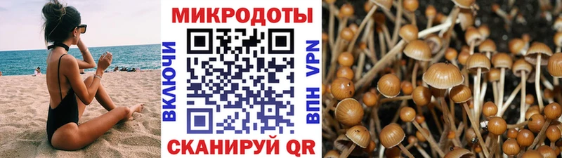 Галлюциногенные грибы мухоморы Шарья