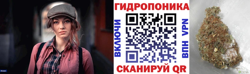 Шишки марихуана конопля  Шарья 